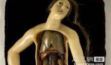人体模型最新爆料图集,前沿科技与人体奥秘的完美融合