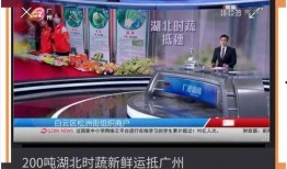 广州时报爆料新闻,揭秘某事件背后惊人真相